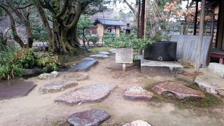 今は近くでは見られないようです。