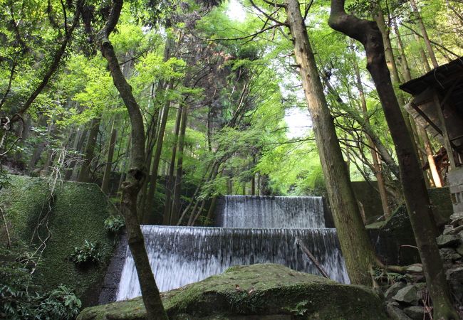 ご年配向きなんだろうか・・・