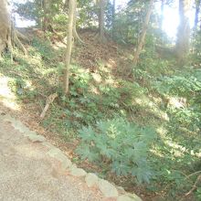 空堀・土塁の遺構