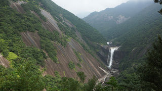 雄大な滝の流れを見物！駐車場からすぐです！