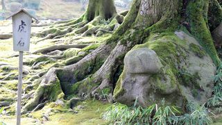 虎に見えなくもない