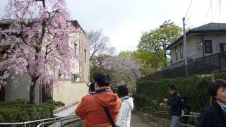 桜の時期は凄い事に…