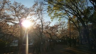 井之頭公園の中心！