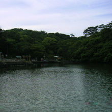 神様が宿る明神池