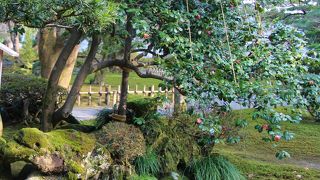 兼六園の龍石の背後にあります