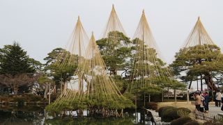 兼六園の冬の風物詩
