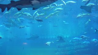 インパクト大！