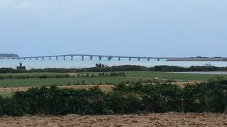 全体を写すならば