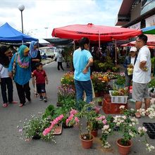 花屋さんも、市場建物外にあれこれ。