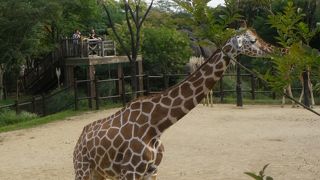 みんなで楽しめます