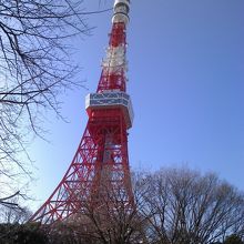 青空に赤と白の東京タワーが綺麗