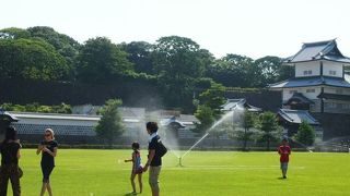 広々芝生が気持ちいい