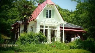 息遣いが聞こえそう。感動しました。 