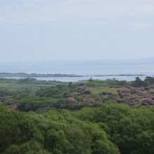 ウォーキング中に見た景色