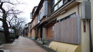 浅野川左岸の道