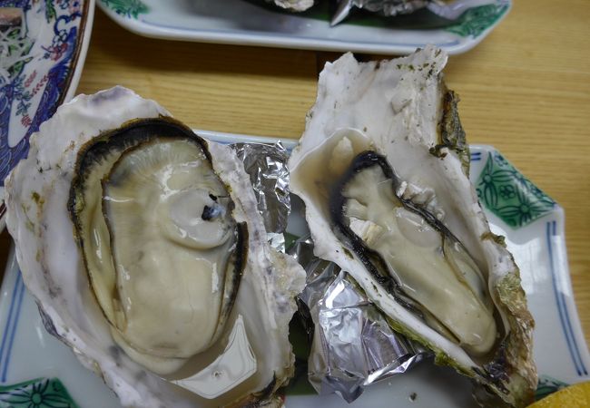 【クチコミ初登場】広島で海鮮料理を食べるにはこのお店です