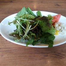 サラダバーの野菜と海藻サラダ・ポテトサラダ他