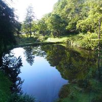 部屋の風景。道路から奥まったところにある
