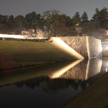 いもり堀と鯉喉櫓台