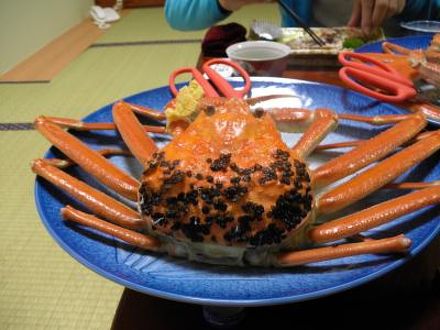 あたらしや旅館の宿泊予約なら フォートラベル の格安料金比較 越前海岸