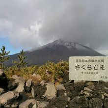 定期観光バスツアーで訪れた観光スポット