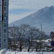 冬期間　入館料半額