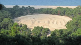 綺麗な形が見下ろせる