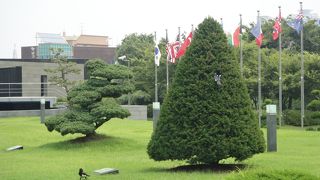 韓国とは思えない別世界（UN記念公園）★お時間があれば訪問をおすすめ★