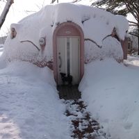 宿泊したドーム型コテージ