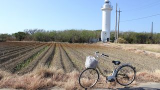 サイクリングにて