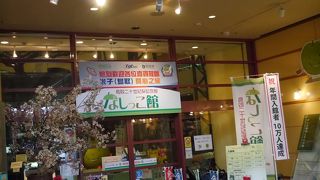 鳥取の観光地はココ！