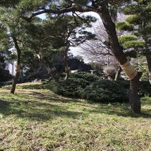 ここが山とは思われません