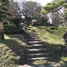 登山道 (？) です