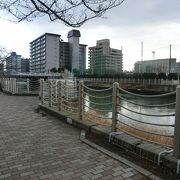 桜並木のある遊歩道