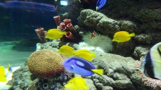 巨大水槽以外のスケールはそこまで