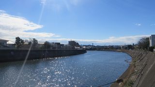 境川に沿ってのウォーキングは楽しい