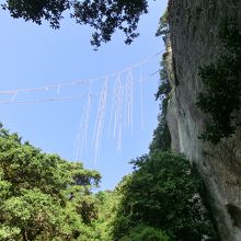 なにこれって思ってしまいそう