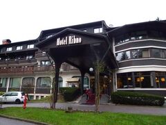 Ribno Alpine Hotel 写真