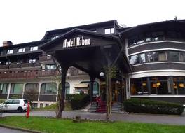 Ribno Alpine Hotel 写真