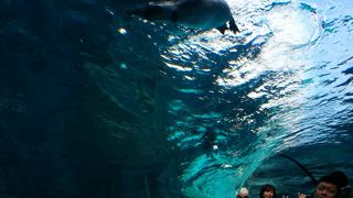 期待度が大きすぎた