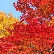 温泉街の先に紅葉スポット