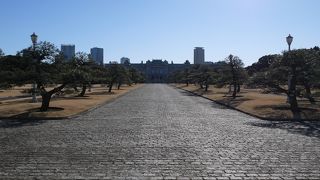 中には入れませんけど。