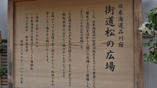 枝ぶりの良い松が一本立っています