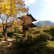 木立の間から三重塔が見えました。