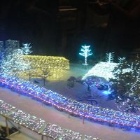 イルミネーション