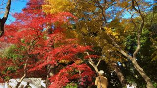 都会の中のオアシス