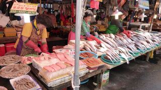チャガルチ市場 (チャガルチシジャン) --- 「韓国・釜山」にある魚市場です。色んな魚がいっぱいで見ているだけでも楽しいですよ！ 