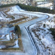 大き過ぎて全景入らず