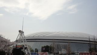 東京ドーム！
