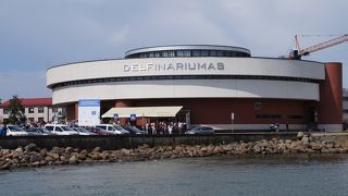 海洋博物館 水族館